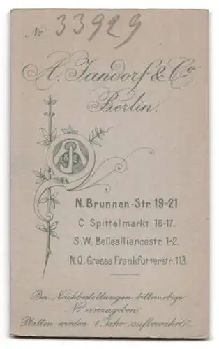 Fotografie A. Jandorf & Co., Berlin, Brunnen-Str. 19-21, Porträt einer Frau in eleganter Kleidung