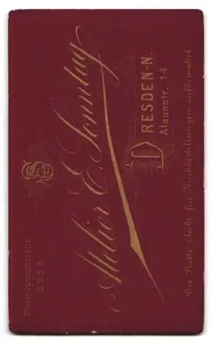 Fotografie E. Sonntag, Dresden, Alaunstr. 14, Porträt eines ernst blickenden jungen Mannes