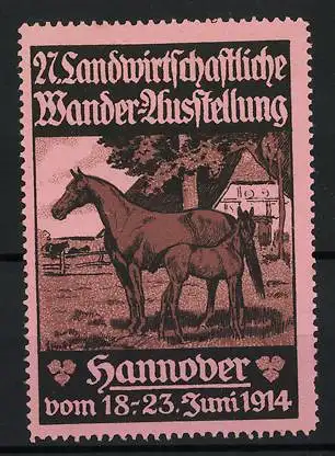 Reklamemarke Hannover, 27. Landwirtschaftliche Wander-Ausstellung 1914, Stute mit Fohlen, Pferd