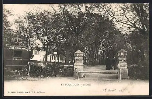 AK Le Pouliguen, Le Bois avec carrosse et promeneurs