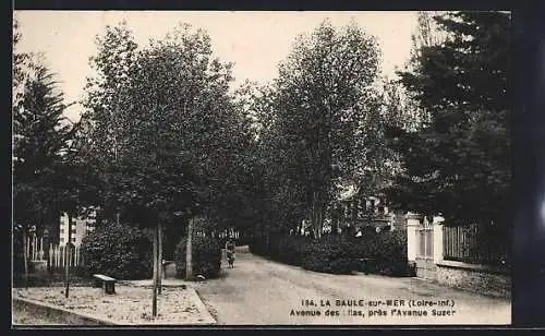 AK La Baule-sur-Mer, Avenue des Lilas, pres l`Avenue Suzer