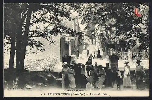 AK Le Pouliguen /L.-I., La rue du Bois