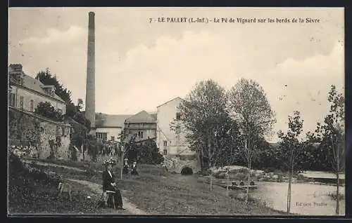 AK Le Pallet /L.-I., Le Pé de Vignard sur les bords de la Sèvre