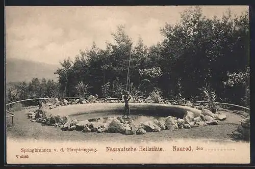 AK Naurod, Nassauische Heilstätte, Springbrunnen v. d. Haupteingang