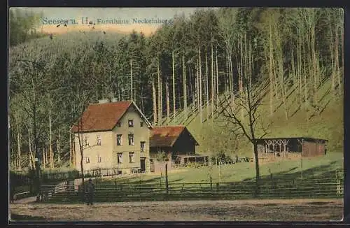 AK Seesen a. H., Forsthaus Neckelnberg mit Waldblick