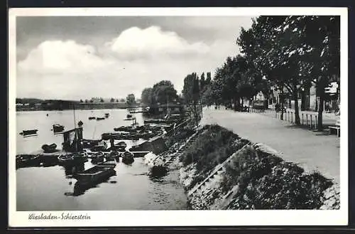 AK Wiesbaden-Schierstein, Hafenpartie mit Uferstrasse