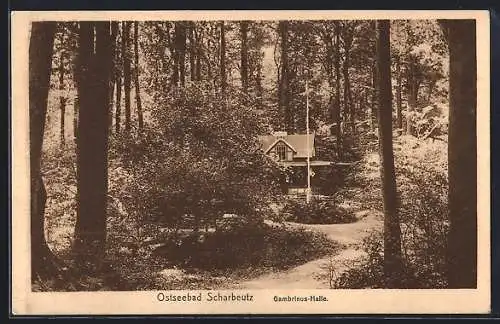 AK Scharbeutz /Ostsee, Gasthaus Gambrinus-Halle mit Anlagen