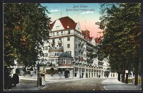 AK Bad Elster, Palast-Hotel Wettiner Hof mit Strasse