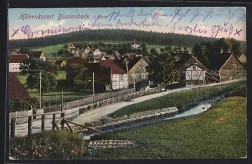 AK Buntenbock /Harz, Ortspartie mit Bachlauf