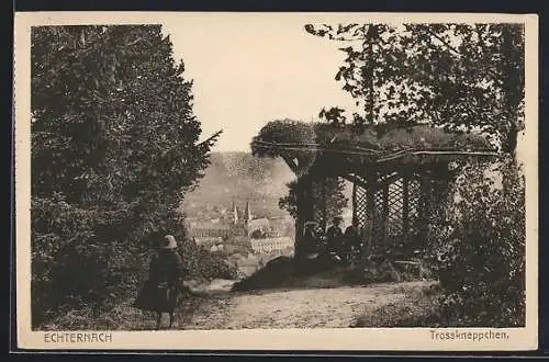 AK Echternach, Trosskneppchen mit Ortsblick