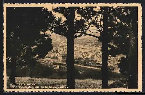 AK Ettelbrück, Panorama, Vue prise de la Nuck