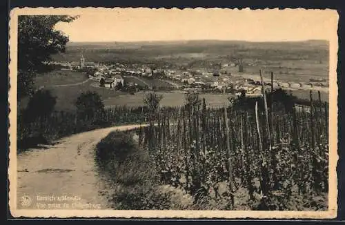 AK Remich s/Moselle, Vue prise du Galgenberg