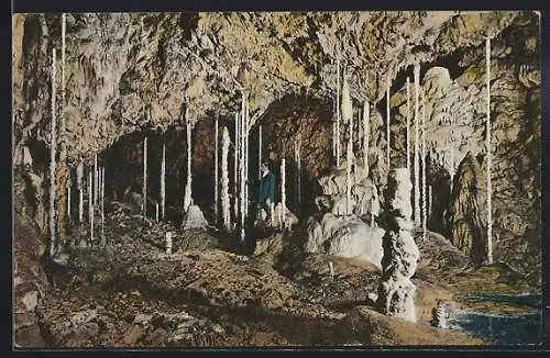 AK Katharinengrotte, Stalagmitenwäldchen