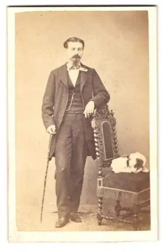 Fotografie J. Goliasch Fils, Genf, Rue du Rhône 29, Herr mit Spazierstock und Hund auf Stuhl ruhend