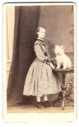 Fotografie Dietz & Kaselowsky, Aschersleben, Steinstrasse 12, Mädchen im Kleid & Hund West Highland White Terrier