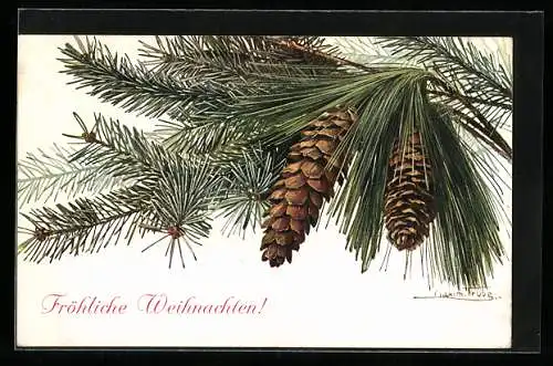 Künstler-AK Maxim Trübe: Tannenzweig mit Weihnachtsgruss