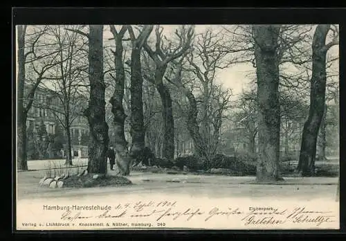 AK Hamburg-Harvestehude, Idyll im Eichenpark