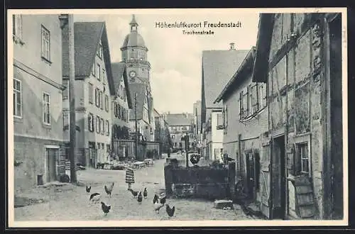 AK Freudenstadt, Partie in der Traubenstrasse