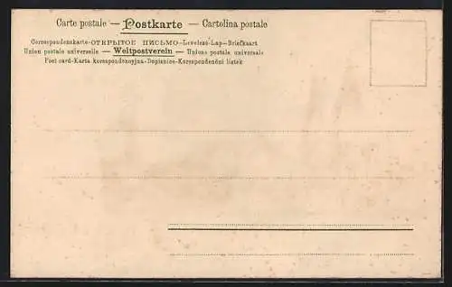 Lithographie Alt-Hamburg, Dom auf dem Platze des späteren Johanneums am Speersort