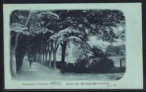 Mondschein-AK Hamburg-Harvestehude, Promenade in Fontenay