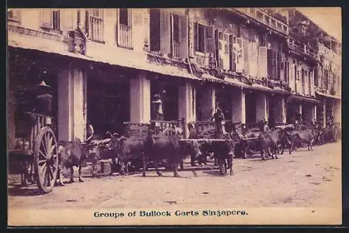 AK Singapore, Groups of Bullock Carts