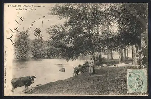 AK Le Pallet, Vaches à l`abreuvoir au bord de la Sèvre