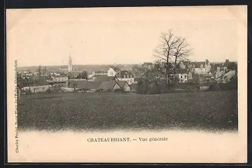 AK Châteaubriant, Vue générale