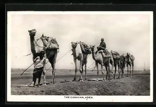 AK Aden, The caravan