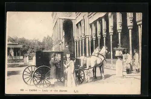 AK Cairo, Lady of the Harem