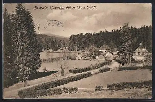 AK Zwiesel (Bayr. Wald), Zwieseler Waldhaus