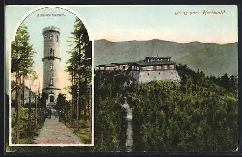 AK Oybin, Blick auf den Aussichtsturm im Hochwald