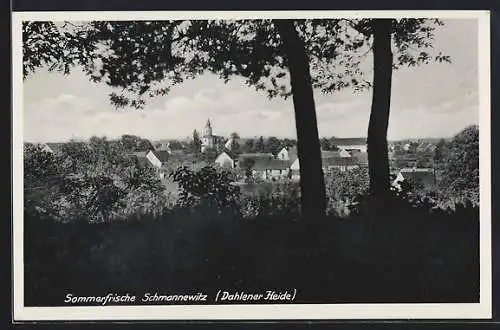 AK Schmannewitz, Ortspanorama