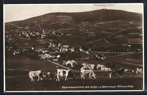 AK Oberwiesenthal, Ortsansicht mit Unter- und Böhmisch-Wiesenthal, Kühe