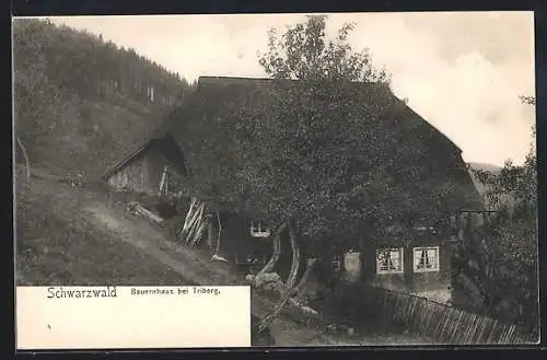 AK Triberg /Schwarzwald, Bauernhaus