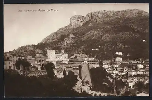 AK Monaco, Palais du Prince