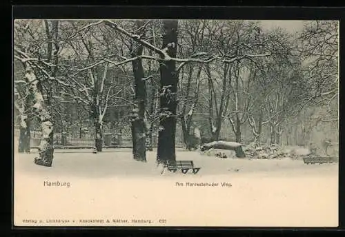 AK Hamburg, Am Harvestehuder Weg im Schnee