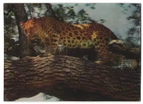 3D-AK Leopard auf einem Baumstamm