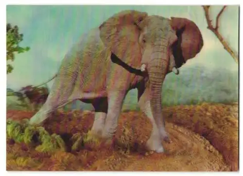 3D-AK Elefant in der Steppe