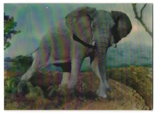 3D-AK Elephant auf dem Weg zum Betrachter