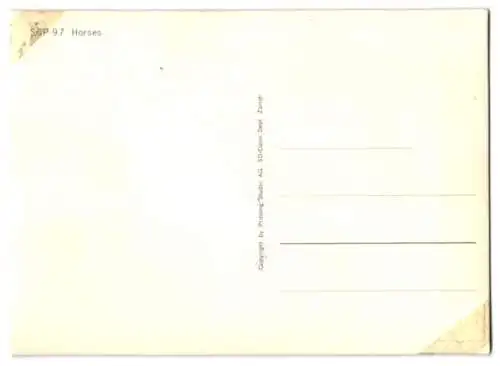 3D-AK Pferde auf der Koppel vor Gebirgskulisse