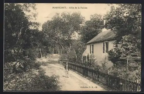 AK Pornichet, Allée de la Falaise