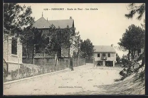 AK Pornichet, Route de Mazi, Les Chalets