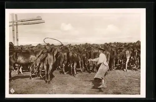 AK Hortobágy, Pferdehirte schwingt sein Lasso