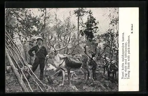 AK Young Skolt with pack-reindeer, Same mit Rentier, Finnland