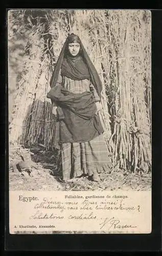 AK Egypte, Fellahine, gardienne de champs