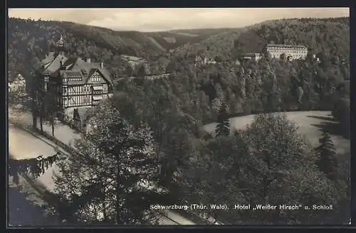 AK Schwarzburg /Thür. Wald, Das Hotel Weisser Hirsch und das Schloss