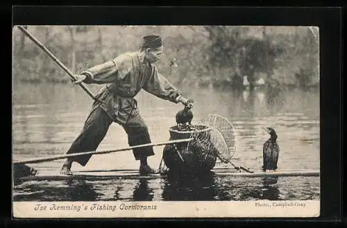 AK Ise Kemming's Fishing Cormorants, Kormoranfischerei