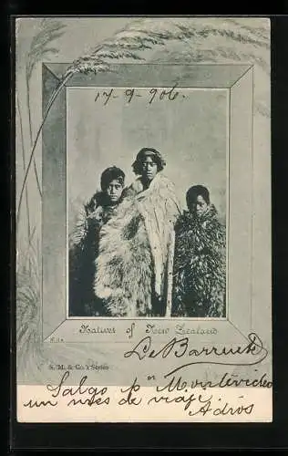 AK Natives of New Zealand