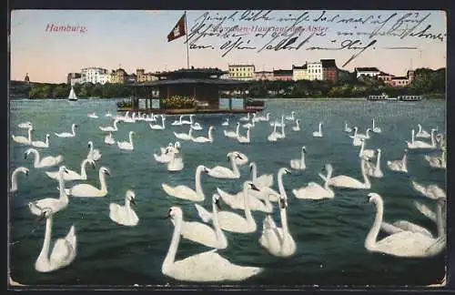 AK Hamburg-Uhlenhorst, Schwanen-Haus auf der Alster