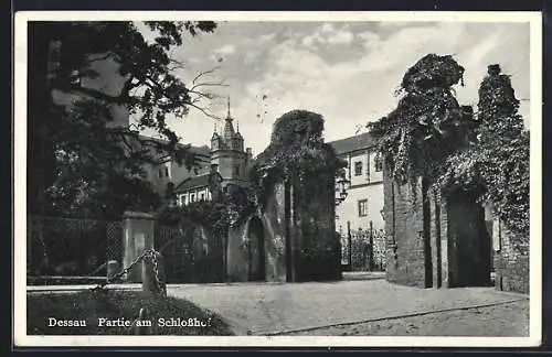 AK Dessau, Partie am Schlosshof